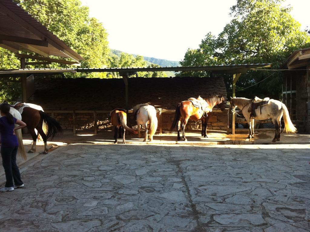 Hotel Los Nogales Campo  Zewnętrze zdjęcie